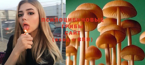 стафф Алапаевск
