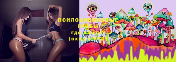 стафф Алапаевск
