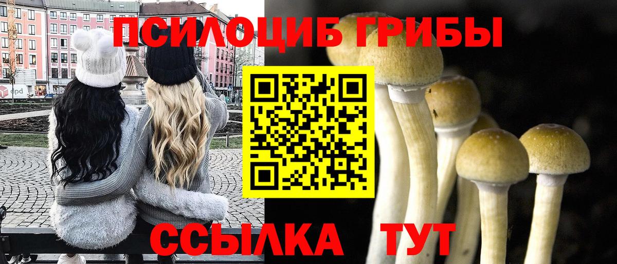 Галлюциногенные грибы GOLDEN TEACHER  Дятьково 